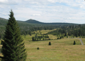 Imagen de vista previa de la cámara web Březník